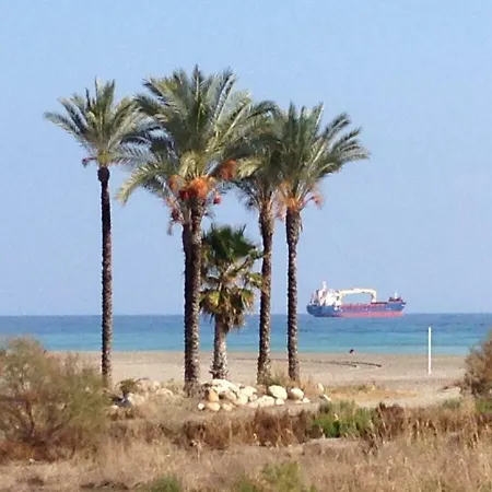 Albacora Daire